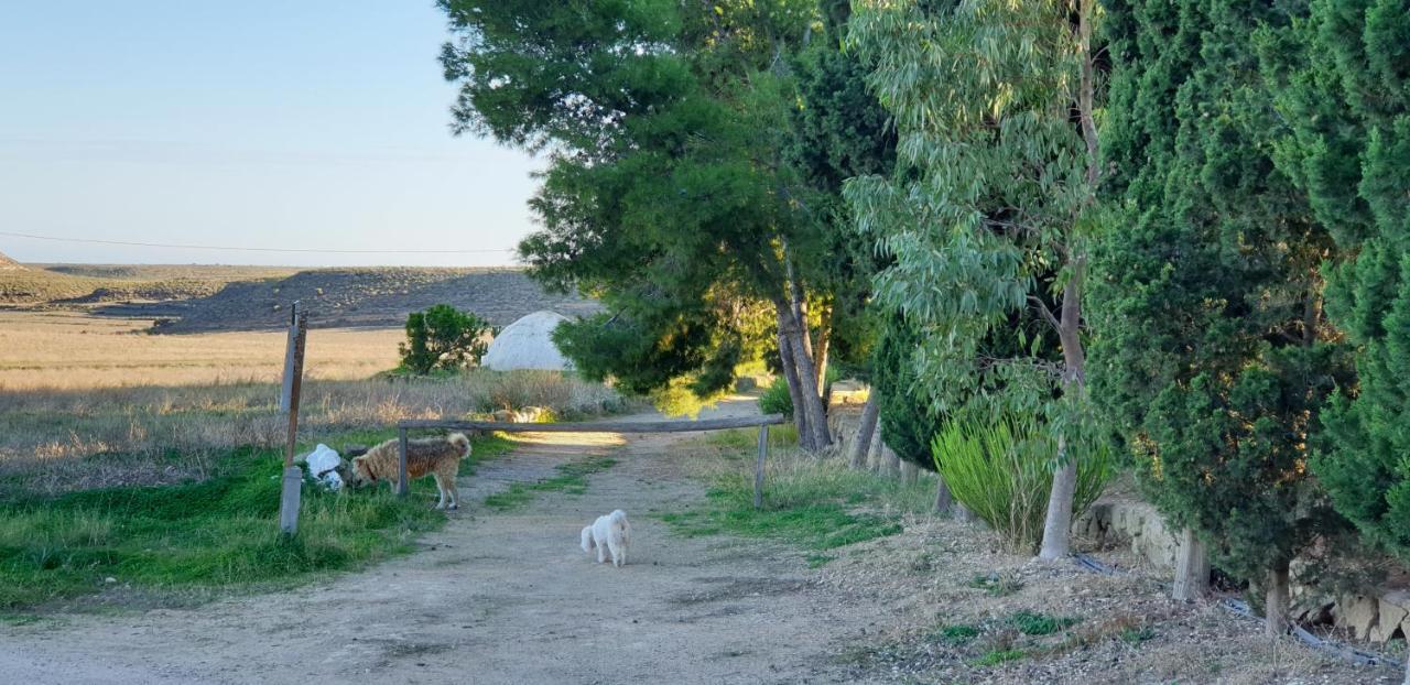 El Molino De Arriba Villa นีคาร์ ภายนอก รูปภาพ