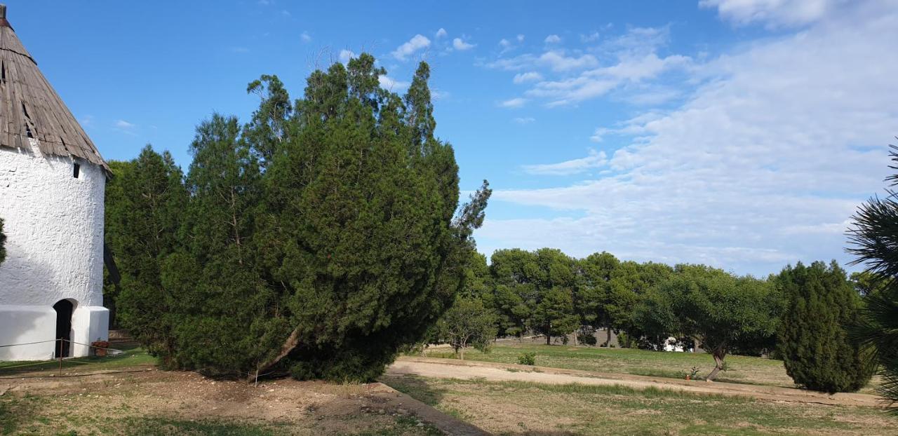 El Molino De Arriba Villa นีคาร์ ภายนอก รูปภาพ